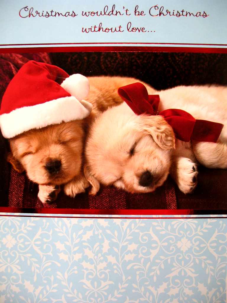 Christmas and Holiday
